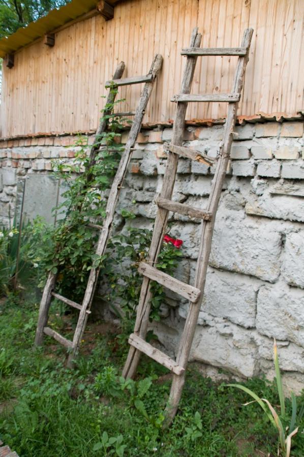 Ferienwohnung Notas Tuecsoek Vendeghaz Agyagosszergény Exterior foto