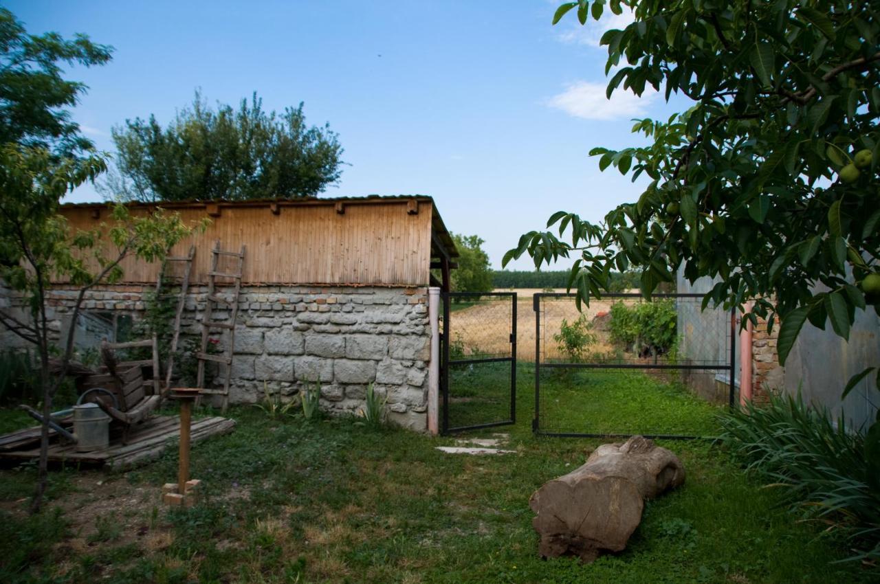 Ferienwohnung Notas Tuecsoek Vendeghaz Agyagosszergény Exterior foto