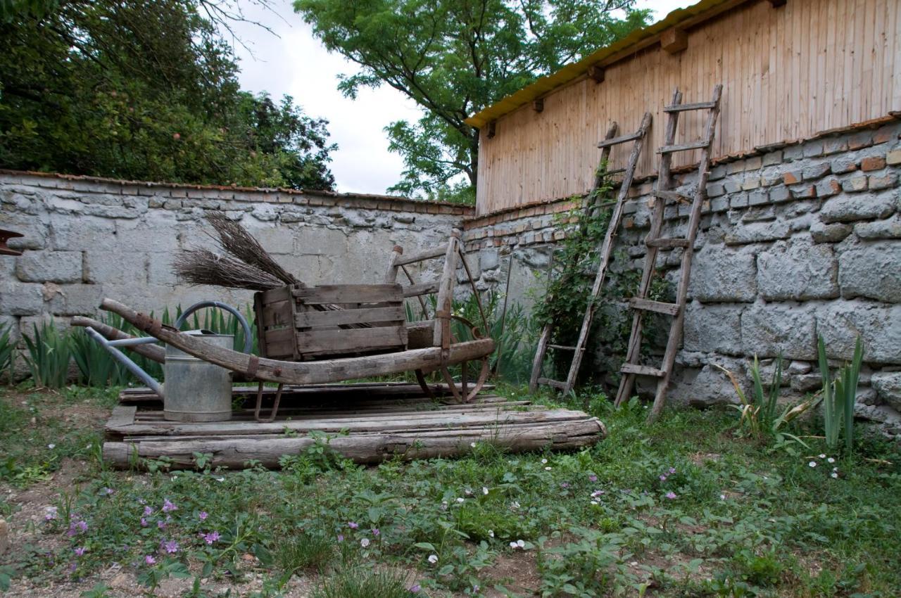 Ferienwohnung Notas Tuecsoek Vendeghaz Agyagosszergény Exterior foto